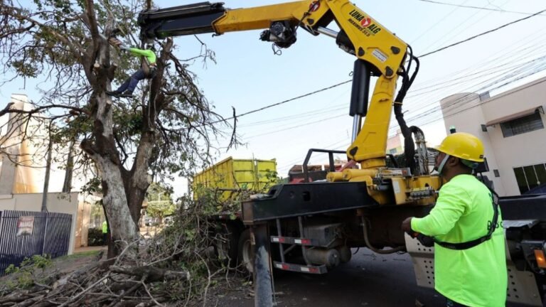 Prefeitura faz chamamento público para destinar lenha de supressões de árvores