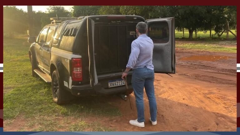 Homem é preso em flagrante após golpear a própria mãe com foice