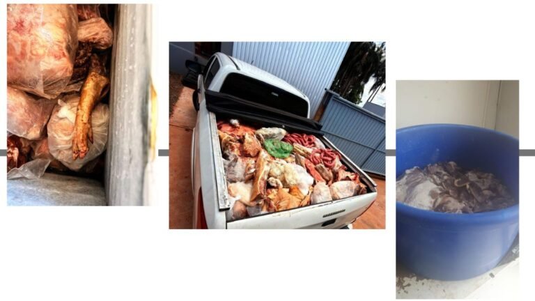 Polícia Civil apreende mais de 900 quilos de alimentos impróprios durante fiscalização em mercados