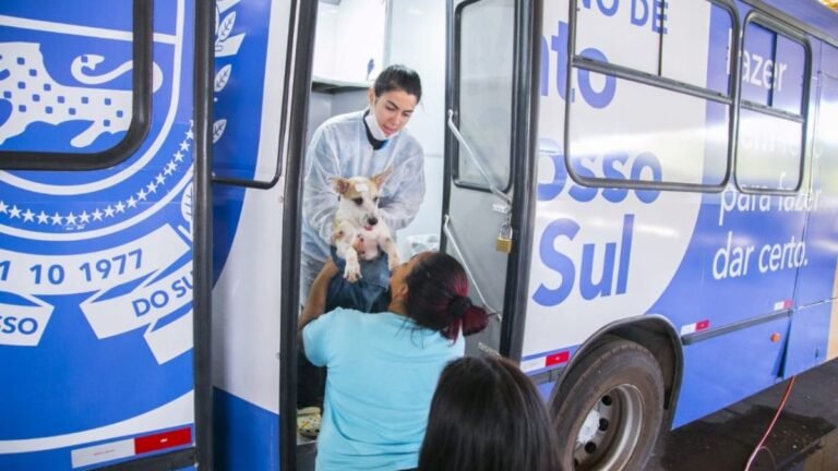 Prefeitura orienta que tutores levem animais em jejum para castração; veja todos os cuidados