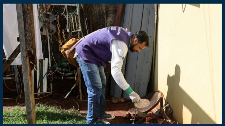 Prefeitura alerta para aumento de casos e dengue e intensifica ações preventivas