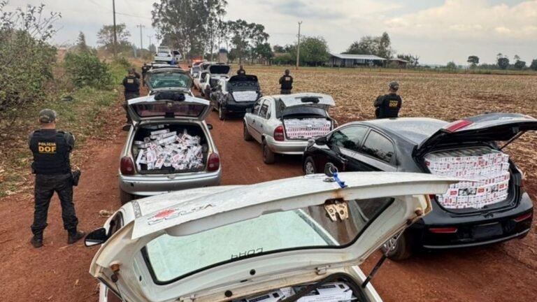 Vídeo: DOF localiza entreposto de contrabandistas e apreende 17 veículos carregados com contrabando