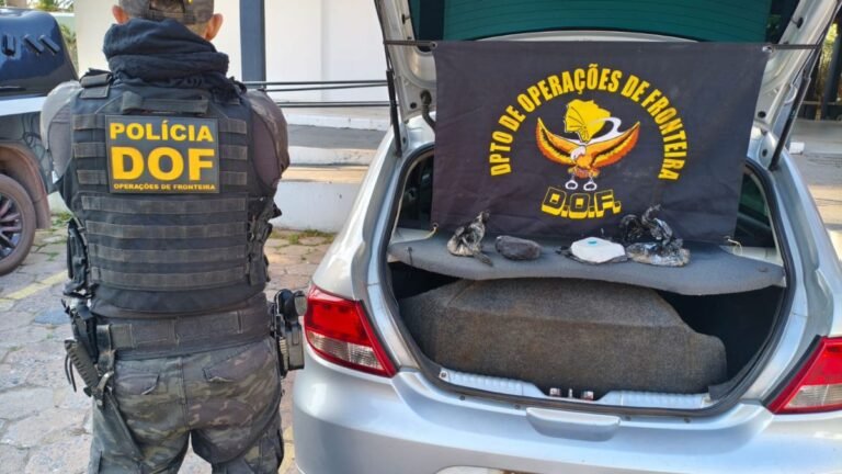 DOF apreende cocaína com destino ao Rio Grande do Sul e prende homem de 25 anos por tráfico
