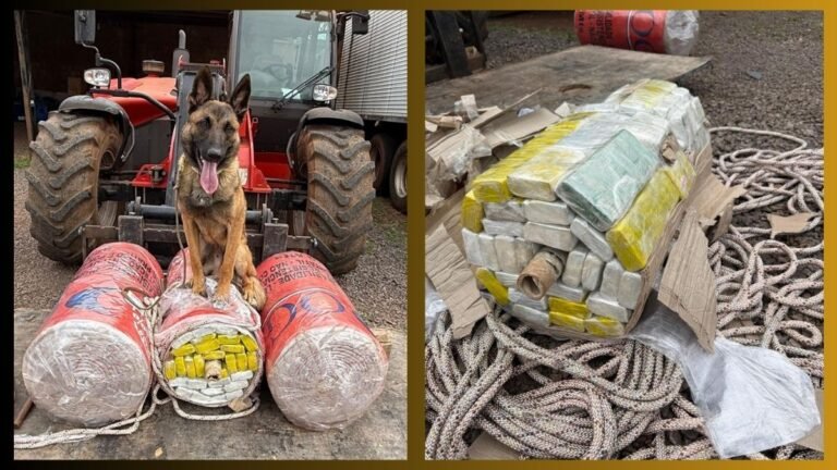 Vídeo: Polícia Civil e PM apreendem entorpecentes em transportadora durante operação conjunta