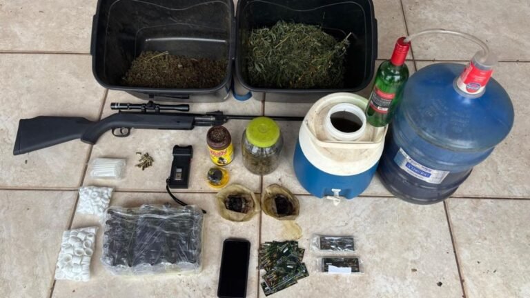 Polícias Civis de MS e SP prendem homem com derivados de maconha e arma de fogo