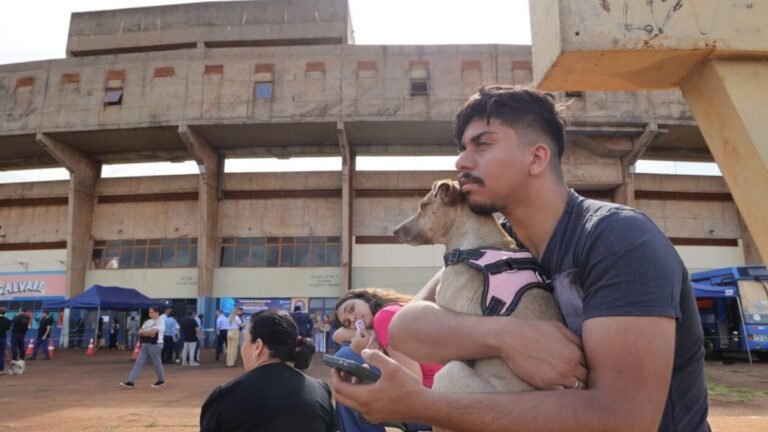Caravana da Castração atendeu mais de 90 animais no 1º dia e prefeitura reforça cuidados