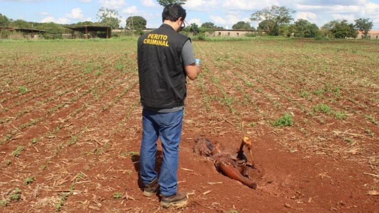 Polícia Civil conclui inquérito sobre corpo em avançado estado de decomposição no distrito de Itamarati