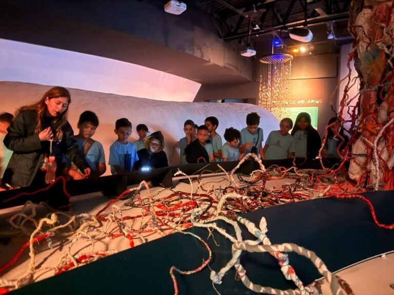 Museu do Bioparque Pantanal recebe projeto que integra arte, ciência e sustentabilidade