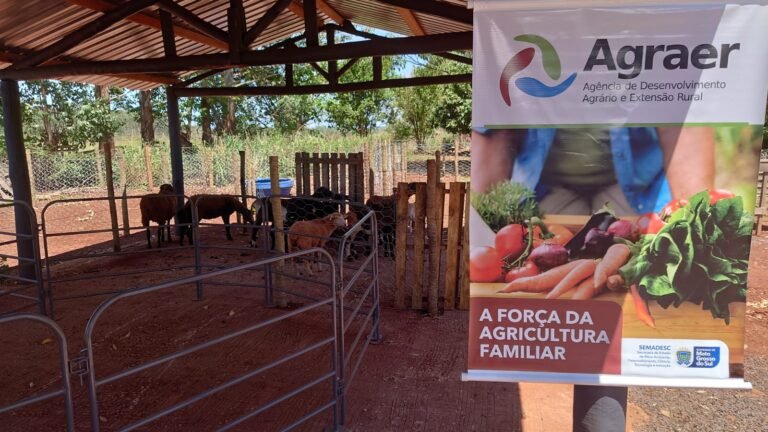 Dia de Campo evidencia importância da PDOA e o potencial da ovinocultura na agricultura familiar