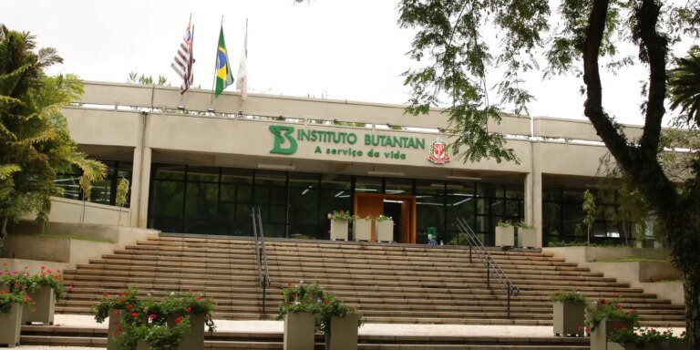 Ministério da Saúde aprova parcerias para fabricação de medicamentos destinados ao SUS