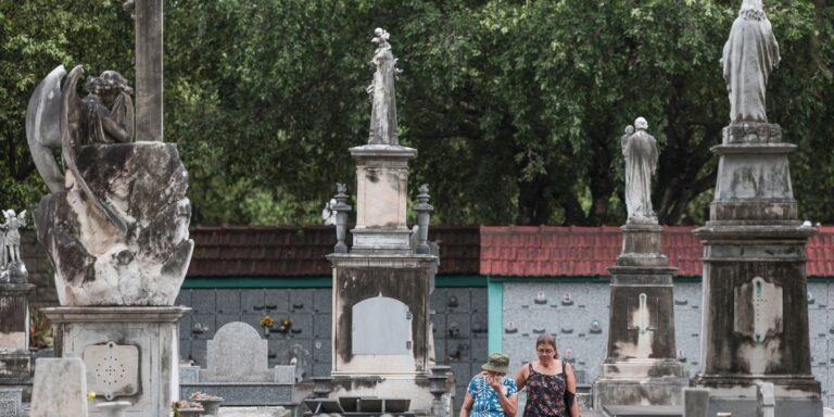 Mortes no país sobem 4,6% em 2024, maior alta fora do período pandêmico