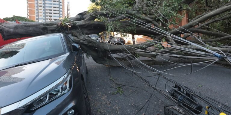 Cinco dias após ciclone, 30 mil clientes seguem sem energia em São Paulo
