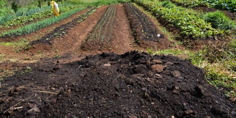 CMN amplia apoio a produtores afetados por eventos climáticos