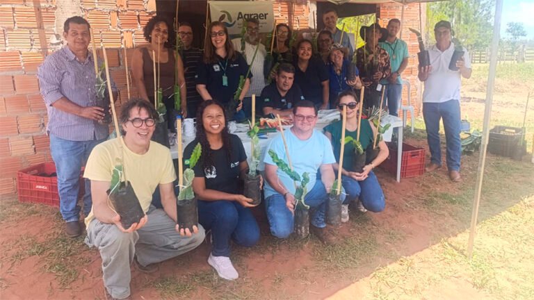 Dia de campo destaca a pitaya como oportunidade de cultivo para agricultores familiares
