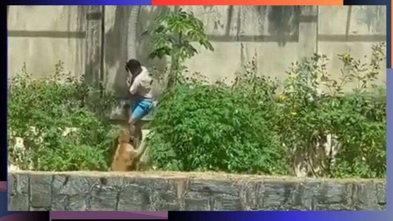 Jovem de 19 anos morre após entrar na jaula de leoa no Parque Zoobotânico Arruda Câmara