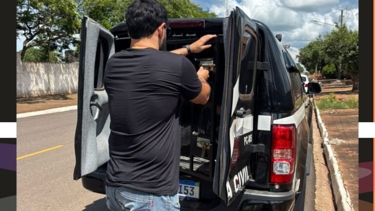 Polícia Civil identifica suspeitos de vandalismo em Bataguassu