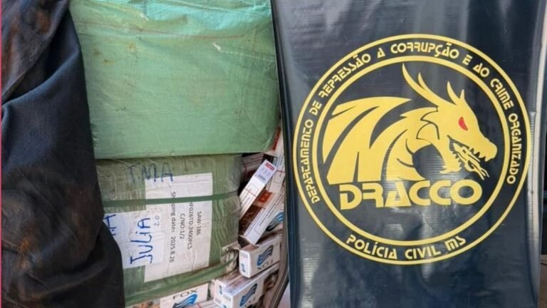 Veículo com mercadorias ilícitas é apreendido por policiais civis durante fiscalização