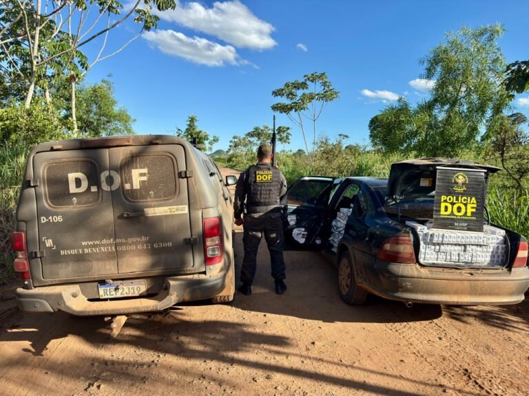 DOF apreende veículo carregado com cigarros e agrotóxicos em aldeia indígena