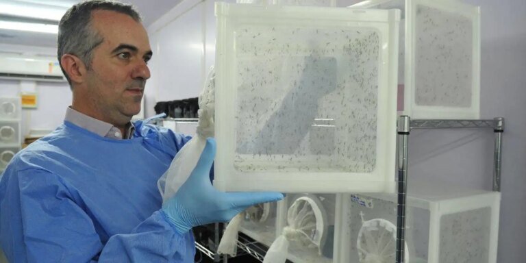 Cientista brasileiro que criou Aedes que bloqueia a dengue é eleito pela revista Nature
