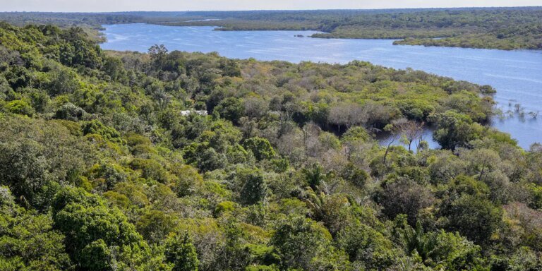 Plano para biodiversidade prevê criação de novas unidades de conservação