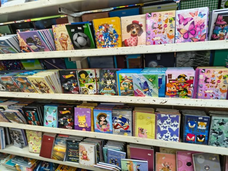 Procon divulga pesquisa de preços do material escolar e orienta consumidores