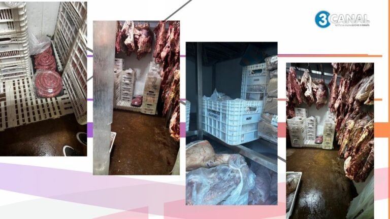 Polícia Civil apreende mais de duas toneladas de carne imprópria para consumo (veja fotos)
