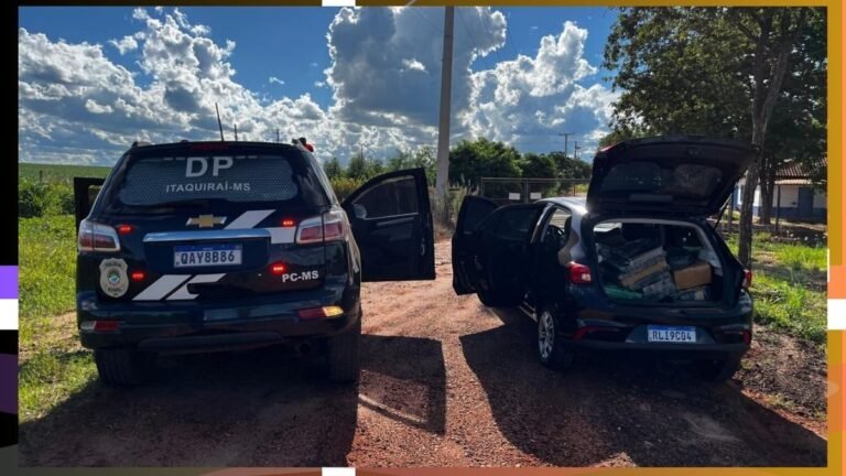 Homem é preso em flagrante após Polícia Civil apreender quase 400 kg de maconha