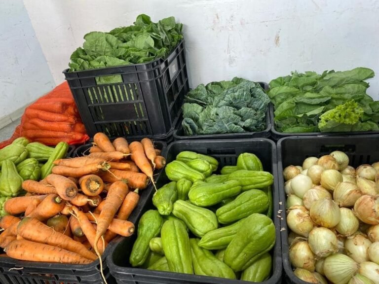 Prefeitura lança edital para compra de alimentos da agricultura familiar para a merenda escolar
