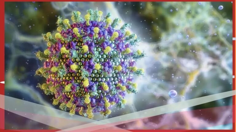 Nipah: entenda o vírus que preocupa a Ásia