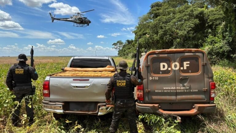 Helicóptero ajuda DOF a apreender quase duas toneladas de maconha em caminhonete furtada