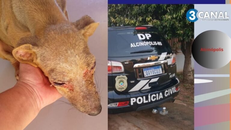 Idoso é preso em flagrante pela Polícia Civil por maus-tratos a animal