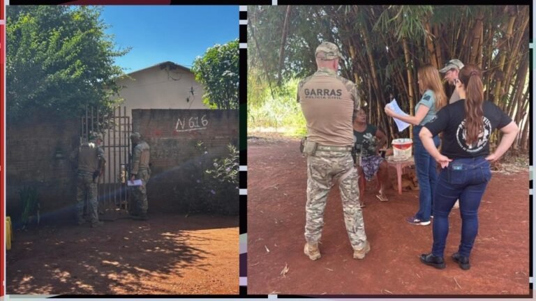 Polícia Civil deflagra Dia D da Operação Mulher Segura e contabiliza 103 prisões em Mato Grosso do Sul