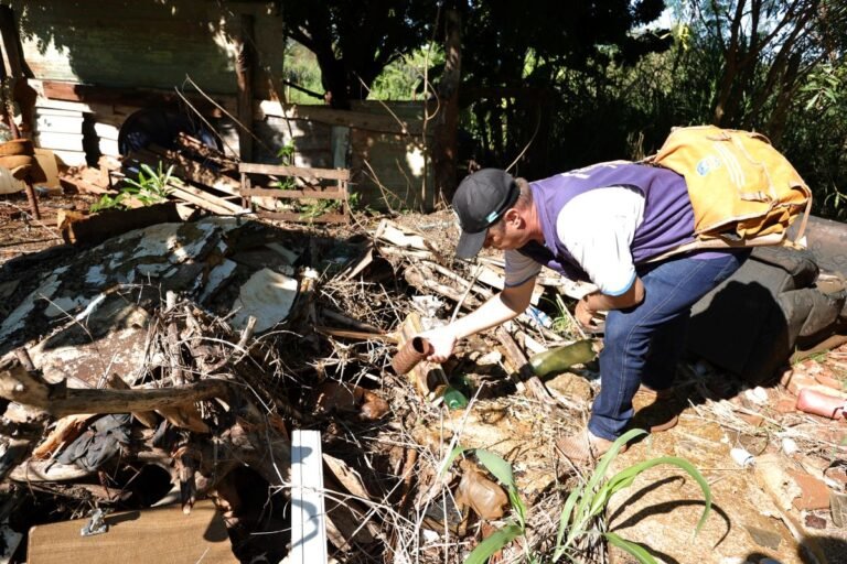 Chikungunya está presente em 37 dos 79 municípios de Mato Grosso do Sul