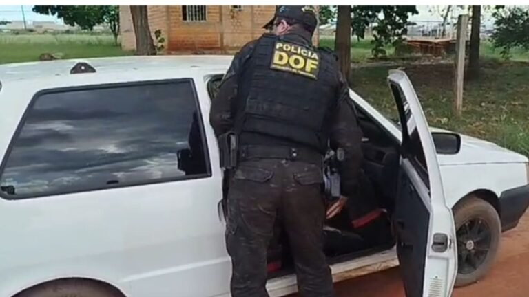 DOF apreende quase meia tonelada de maconha avaliada em cerca de R$ 1,2 milhão