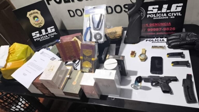 Harrisson Figueiredo – Polícia Civil cumpre mandados contra integrantes de associação criminosa especializada em roubo de veículos e mercadorias contrabandeadas