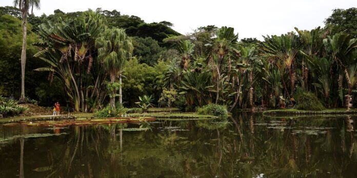Tropical garden scene with a calm pond, towering banana-like palm trees, and two people standing by the water’s edge on the left.