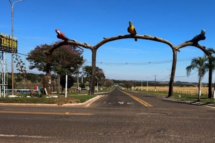 Wooden archway shaped like a bridge with three colorful parrots perched on top over a rural road at a town entrance (TACURÚ visible).