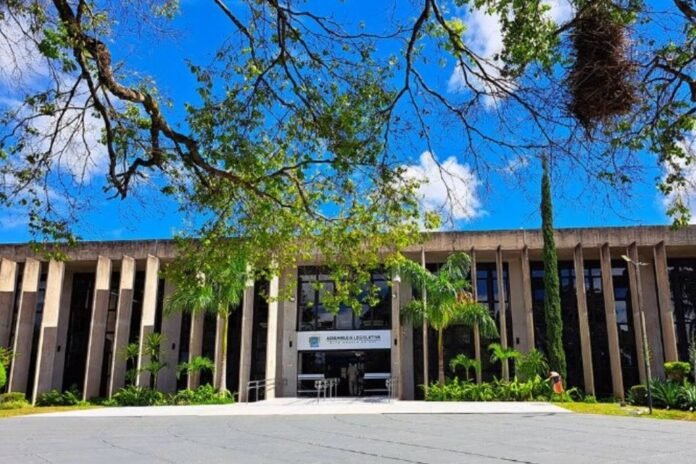 Front view of a government-style building with tall vertical concrete columns, palm trees, and a bright blue sky above.