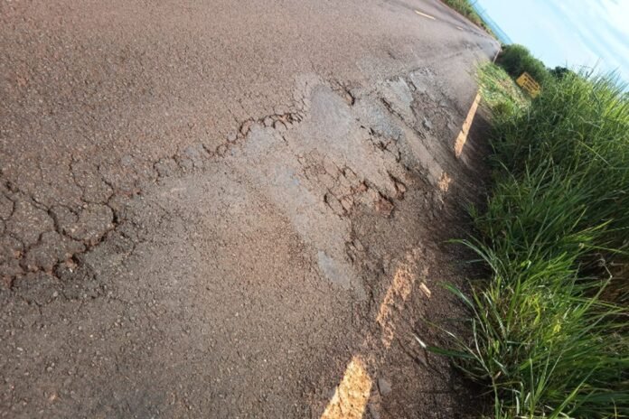 Cracked, pothole-ridden road surface along the shoulder with tall grasses beside it.