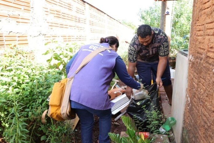 Two people cleaning a narrow garden area, placing trash into a black bag near a brick wall and green plants.