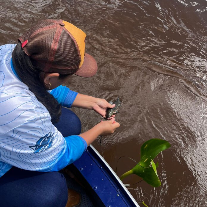 Person in a small boat holding a small fish over brown river water, wearing a brown cap and blue sleeves.