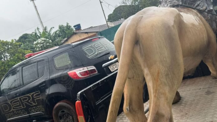 Black police SUV on a flatbed trailer beside a large tan horse statue/prop model in an outdoor setting.