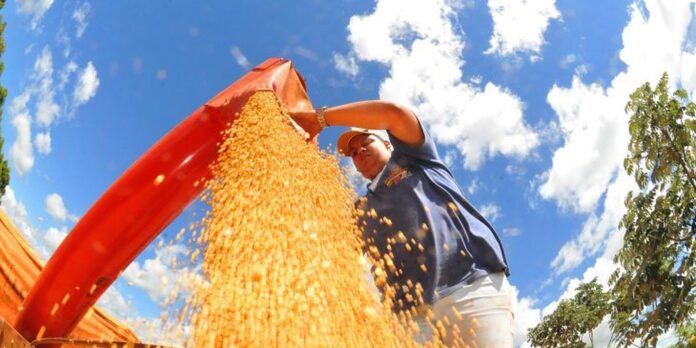 Man in a cap pours golden grains from a large orange bag outdoors against a bright blue sky.