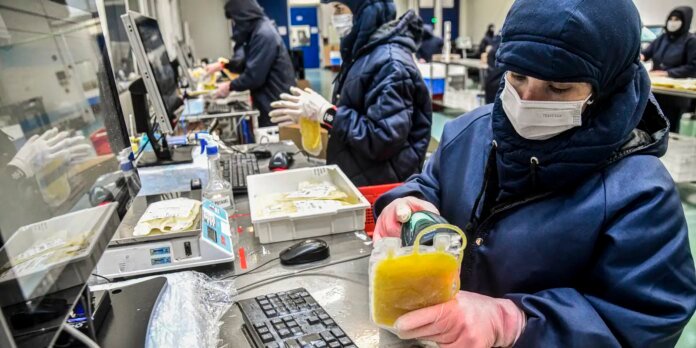 Worker in protective gear and mask fills a plastic pouch with yellow liquid at a production line.