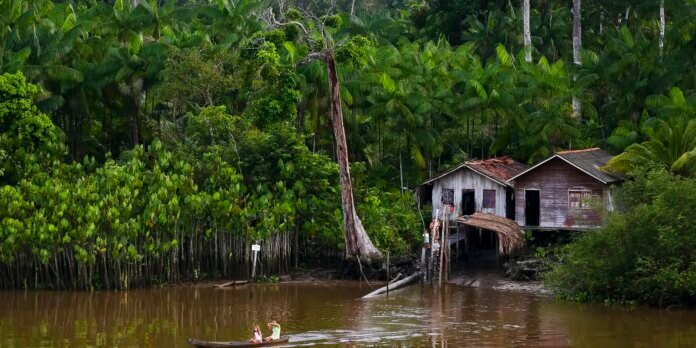 Two people in a small canoe glide along a brown river by a dense mangrove forest and weathered stilt houses.