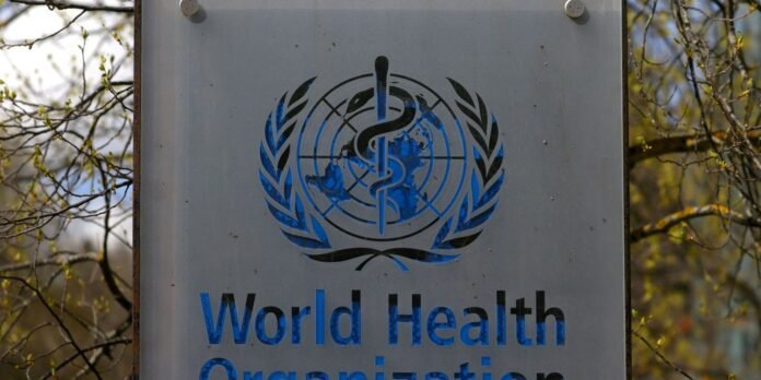 World Health Organization emblem on a metal sign with blue text reading 'World Health Organization' and surrounding branches in the background.