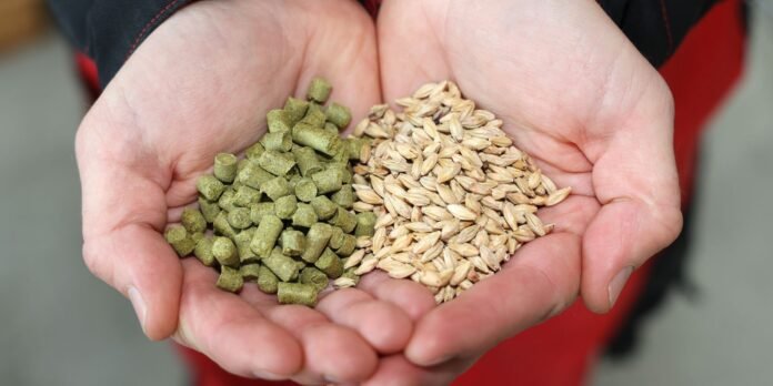Hands holding green pellet feed and beige barley grains in cupped palms.