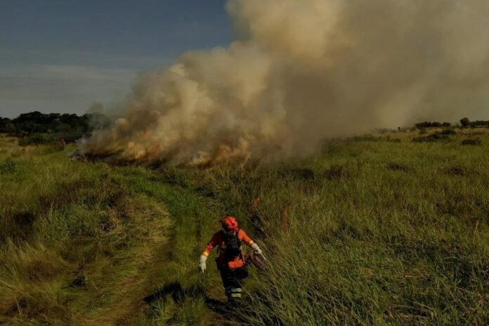 Firefighter in orange gear and gloves moving through tall grass toward a large brush fire with thick smoke in the distance.
