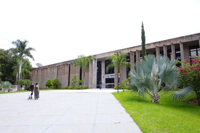 Family trio walking toward a concrete, columned building with palm trees and a wide, tiled plaza.