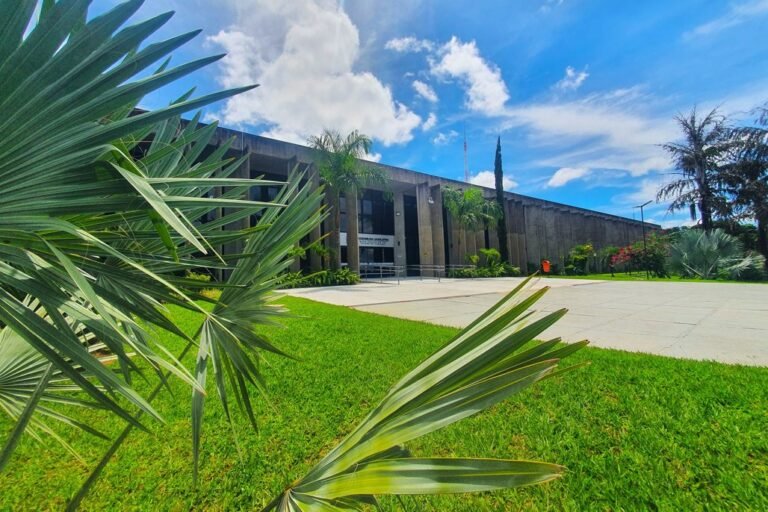 Modern concrete building with tall columns and a paved plaza, framed by palm trees and a green lawn under a blue sky